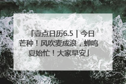 壹点日历6.5｜今日芒种！风吹麦成浪，蝉鸣夏始忙！大家早安